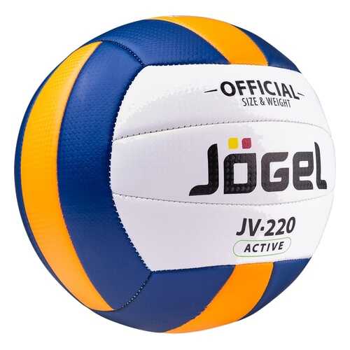 Волейбольный мяч Jogel JV-220 №5 blue/white/yellow в Спортландия