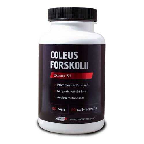 Экстракт Protein.Company Coleus Forskohlii 90 капсул в Спортландия