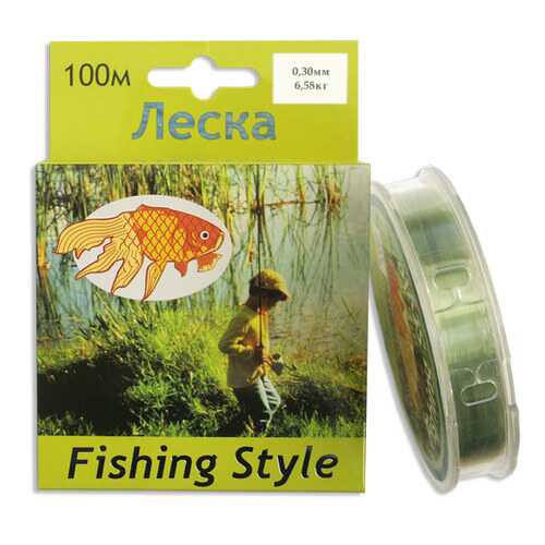 Леска монофильная Fishing Style RL2914 0,3 мм, 100 м, 6,58 кг в Спортландия