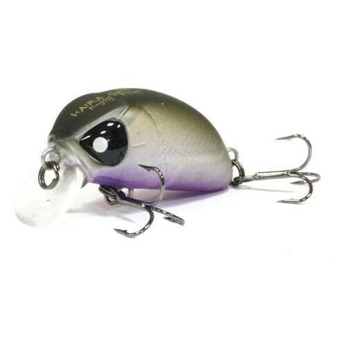 LUCKY JOHN Воблер Плавающий Lj Pro Series Haira Tiny F 03.30/404 Shallow Pilot в Спортландия