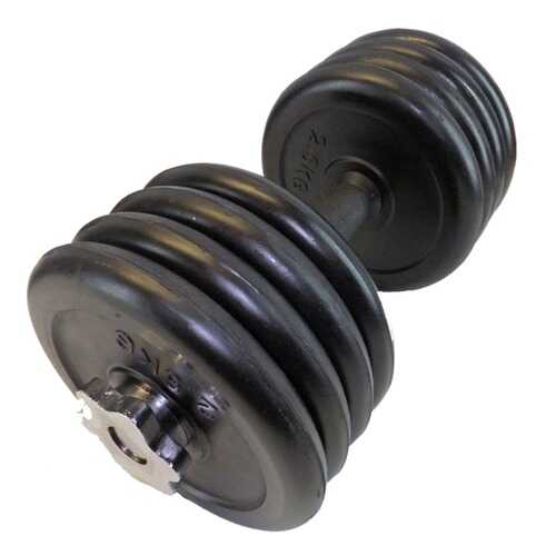 Гантель разборная MB Barbell Atlet 25 мм, 17,5 кг в Спортландия