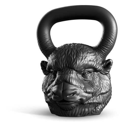 Iron Head Бизон 24,0 кг в Спортландия
