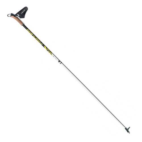 Лыжные палки Fischer RC3 2020, 170 см в Спортландия